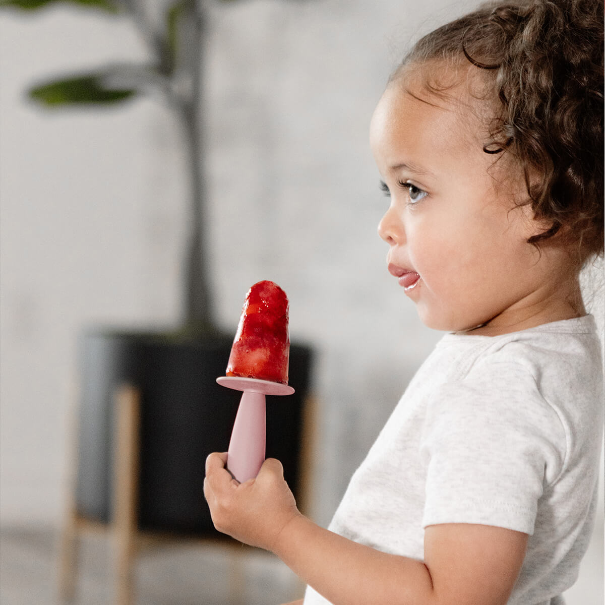 Popsicle Bundle